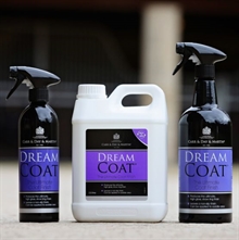 Carr & Day & Martin Dreamcoat spray
