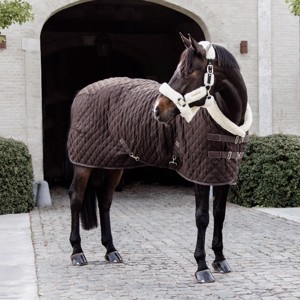 Kentucky Show rug 160 gram Brown