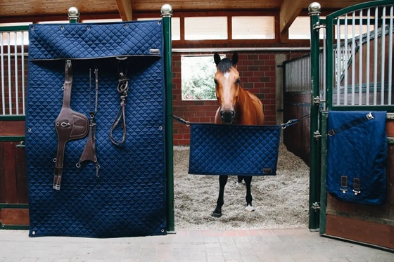 Kentucky Stable Guard 