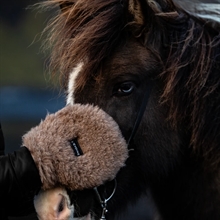 L'Evoine Alpaca Care handske 