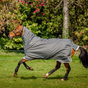 Horseware Amigo Bravo 12 Plus medium 250 gram 72