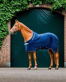 Horseware Autumn Cooler