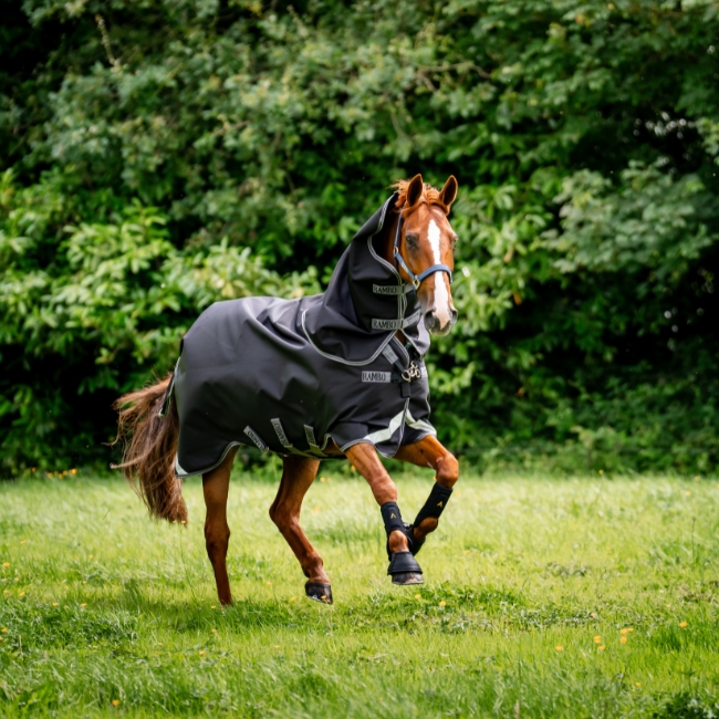 Velkommen til AB Rideudstyr